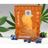 Chieftain