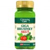 giga beusinky akut