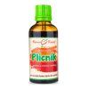 plicnik duse tinktura