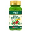 giga brusinky 150