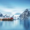 Arctic blue rybolov