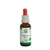 Gymnéma lesní AF tinktura BIO (Balení 50 ml)
