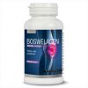 Boswelagen - boswelie+kolagen, collagen 60 kapslí