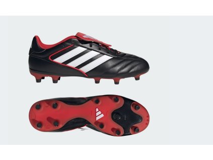 obrázok 2025 11 06 151455469