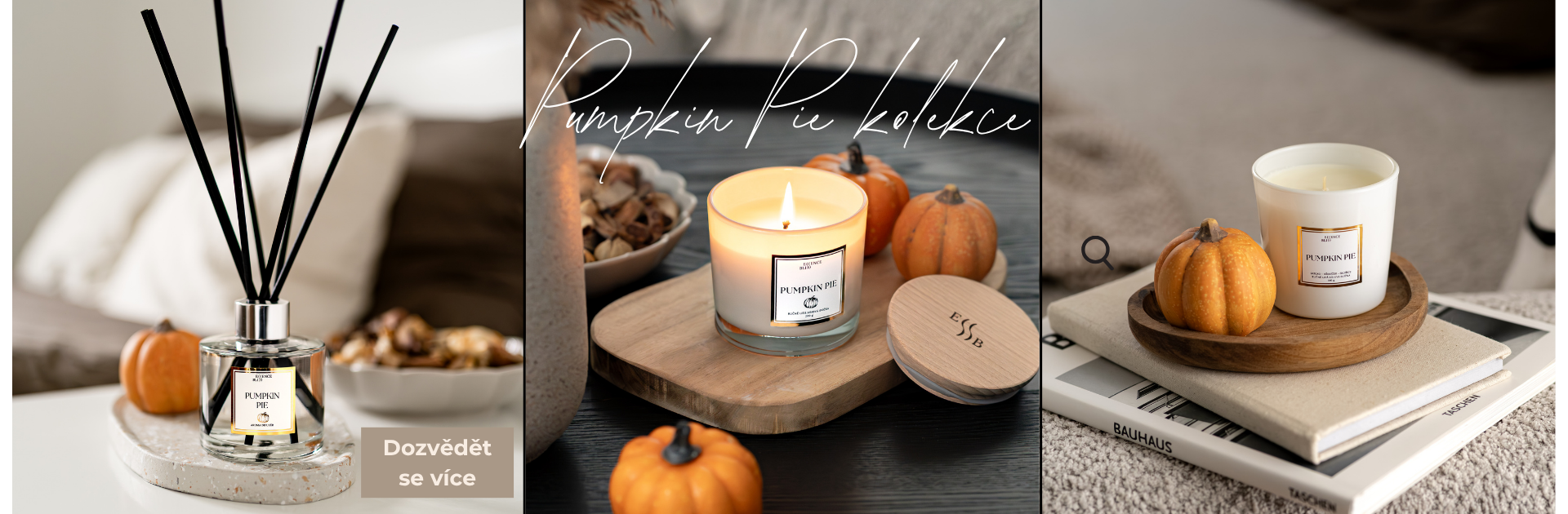 Pumpkin Pie
