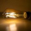 11 RF 264 2 filament Edison bulb application