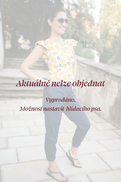 Kopie návrhu aktuálne nelze objednat (75)