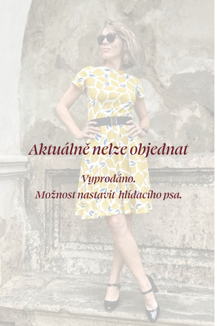 Kopie návrhu aktuálne nelze objednat 2025 06 08T085231.165