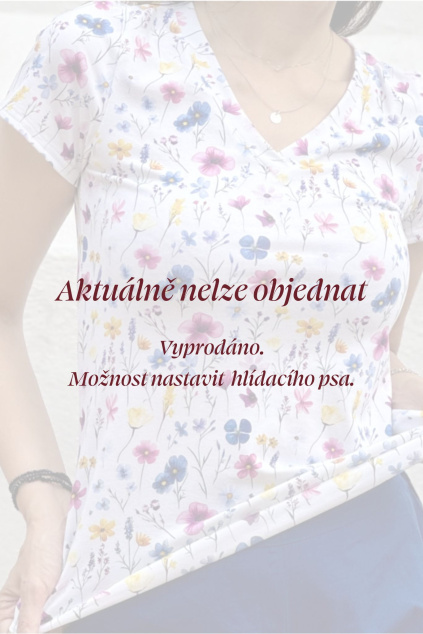 Kopie návrhu aktuálne nelze objednat 2025 06 27T091604.276
