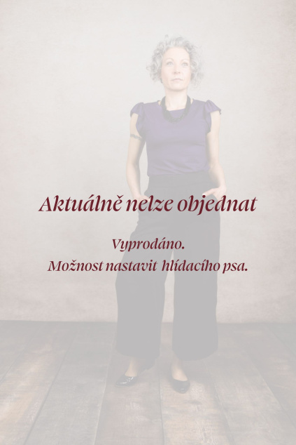 Kopie návrhu aktuálne nelze objednat 2025 06 24T152124.049