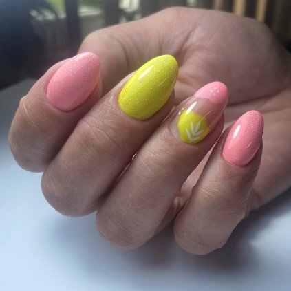 Canary Island a Rose Garden gab 1