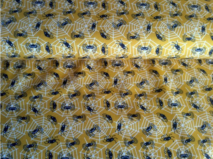 176337329 309108690794419 6006143568804375501 n