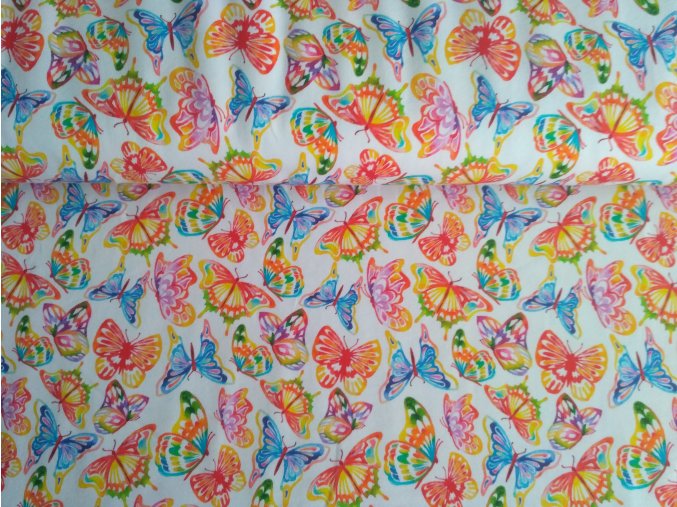 181974893 223405102888600 1710704394614911683 n