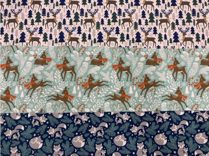 387467486 814579917110767 7920933494693300638 n