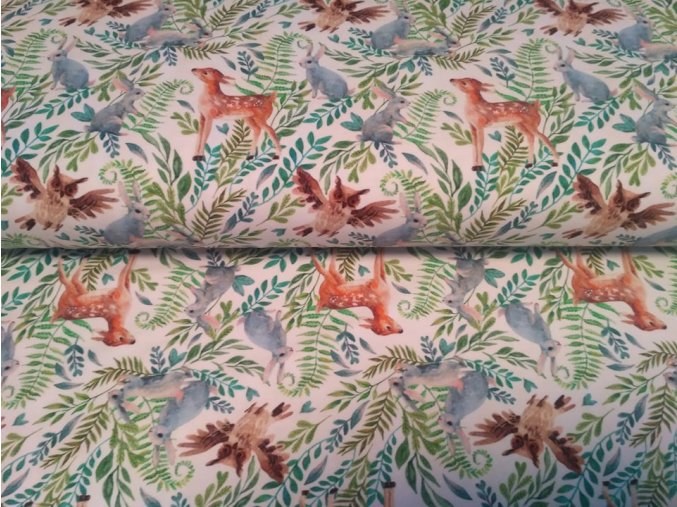 254956020 232992918928572 6838883685350450158 n