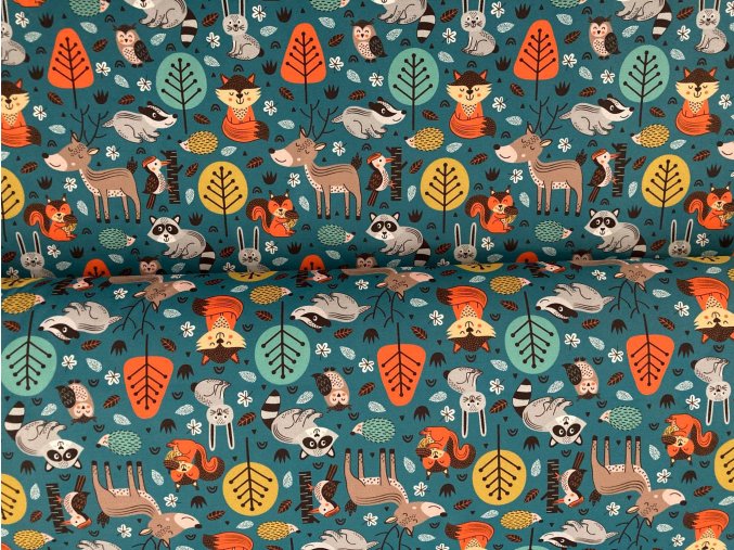 339438427 903853727580578 3925260564768168089 n