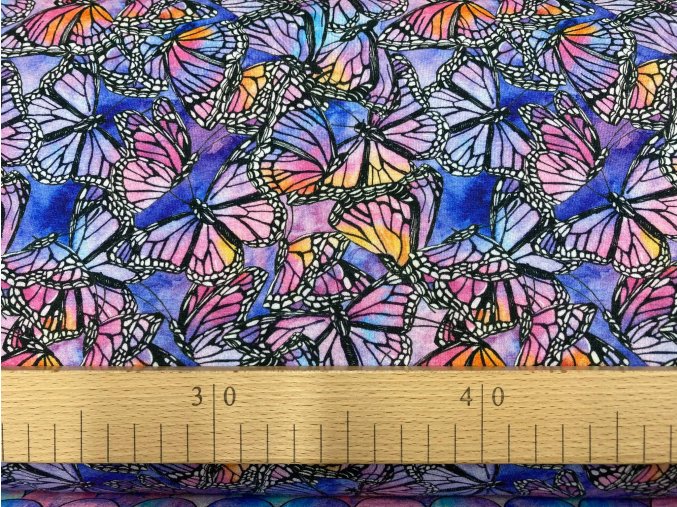 309321130 797874127928159 3750999404236744218 n