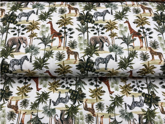 323063441 1211355193122676 881311691523959654 n