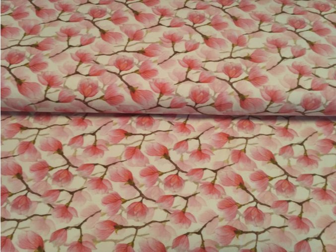 273584358 898687144142470 8218008200872594776 n