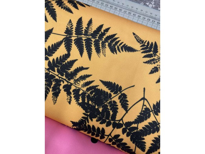 462557845 1709064969941466 8284629172236161410 n