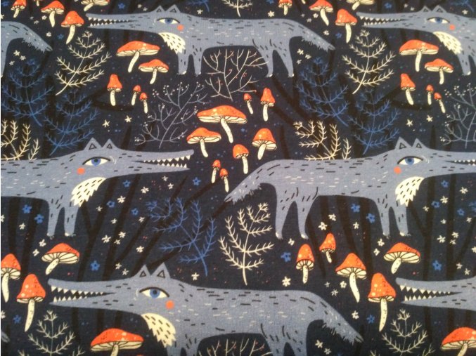 156674015 123709369676701 2731281303756585223 n