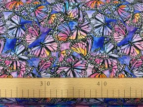 309321130 797874127928159 3750999404236744218 n