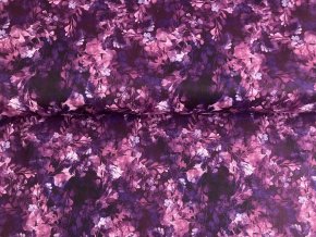 421531970 355606880617882 1215202056897417513 n