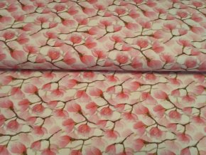 273584358 898687144142470 8218008200872594776 n