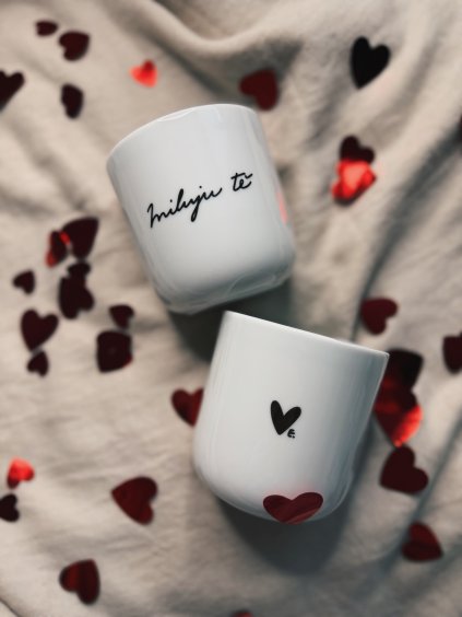 A2A51136 4B4F 490A 8957 94956F15FB9D