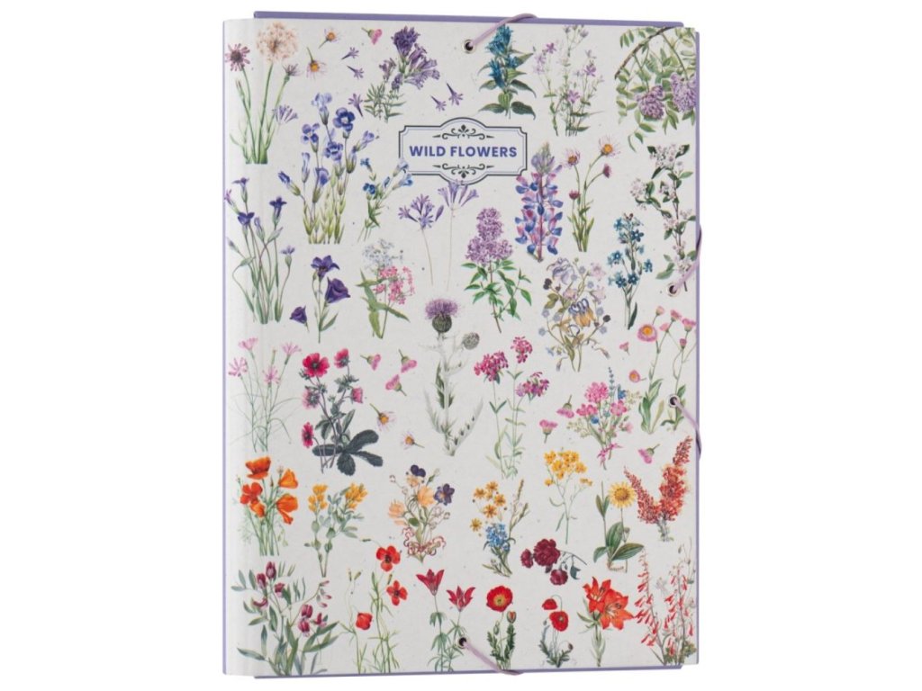 Složka s klopami Luční květiny: Druhy květin (26 x 34 x 2 cm)