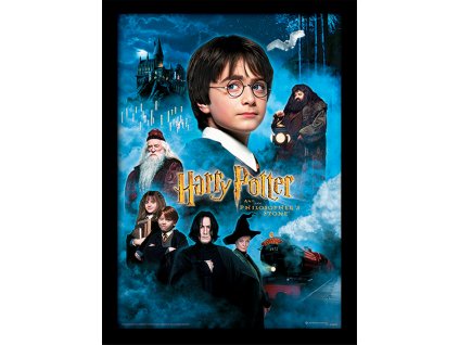 Obrázek v rámečku Harry Potter: Philosophers Stone - Kámen mudrců (30 x 40 cm)