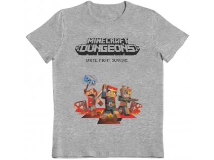 Dětské tričko Minecraft: Dungeons  šedá bavlna
