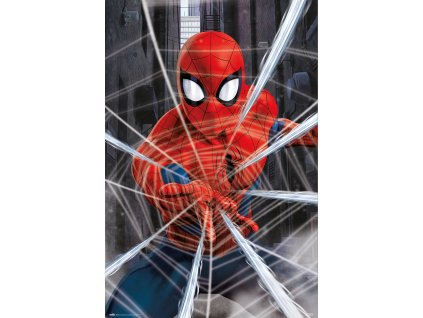 Plakát Marvel|Spiderman: Web (61 x 91,5 cm) 150 g