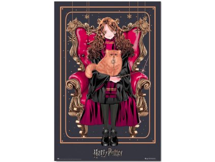 Plakát Harry Potter: Hermione (61 x 91,5 cm) 150g