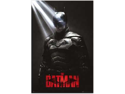 Plakát DC Comics|Batman: I Am The Shadows (61 x 91,5 cm)