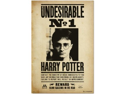 Plakát Harry Potter: Nežádoucí No.1 (61 x 91,5 cm) 150 g