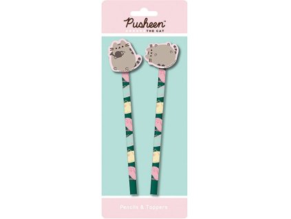 Set 2 kusů tužek s násadami Pusheen: Botanický (délka 21 cm)