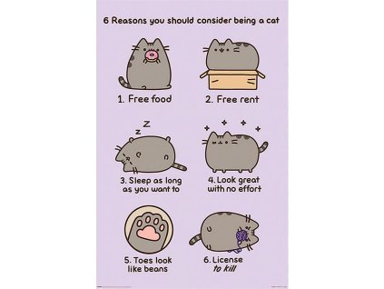 Plakát Pusheen: 6 důvodů proč být kočka (61 x 91,5 cm)