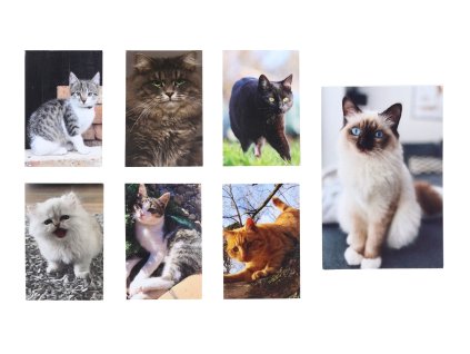 Notes lepený Kočka MINI 40l 6x8,5 cm