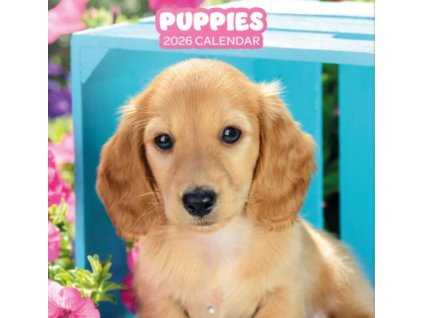 Nástěnný kalendář 2026 16 měsíců: Psi a štěňata (30 x 30 | 60 cm)