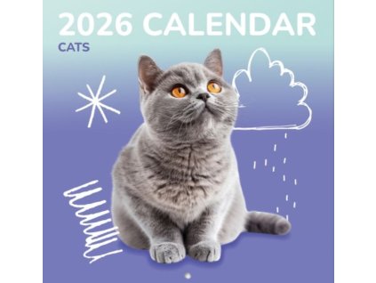Nástěnný kalendář 2026 16 měsíců: Kočky a koťata (30 x 30 | 60 cm)