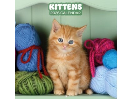 Oficiální nástěnný kalendář 2026 16 měsíců: Kočky | Koťata (30 x 30 | 60 cm)