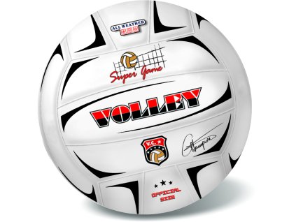 Míč volejbalový VOLLEY CHAMPIONS (250g) - nenafouknutý 21 cm