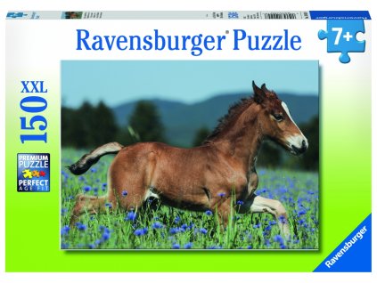 Hříbě, 150 dílků