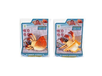 Krab s ulitou 10 cm