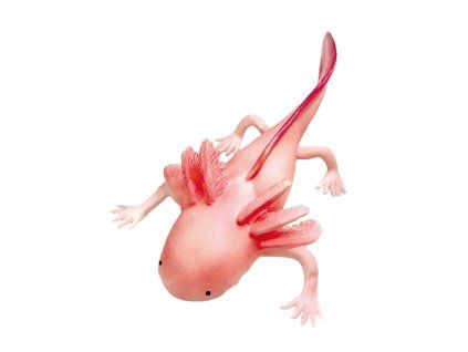 Axolotl 19 cm