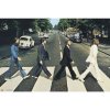 Plakát The Beatles: Abbey road (61 x 91,5 cm) 150g