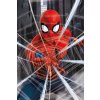 Plakát Marvel|Spiderman: Web (61 x 91,5 cm) 150 g