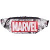 Ledvinka Marvel Comics: Logo