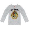Dětské tričko Harry Potter: Hogwarts Logo Coat of Arms